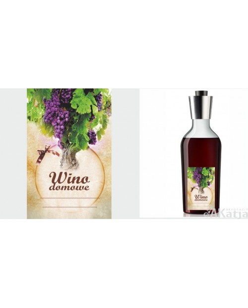 Etykiety na wino domowe tło vintage i krzak winogron