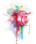 Kolorowa róża2