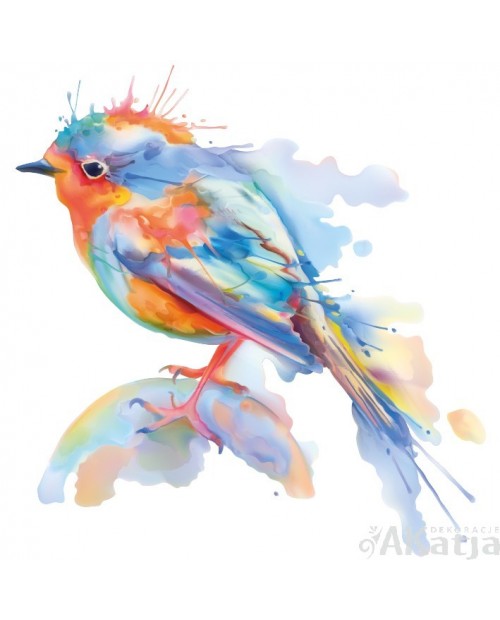 Kolorowy ptak1