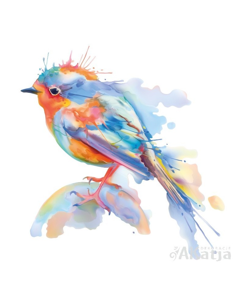 Kolorowy ptak1