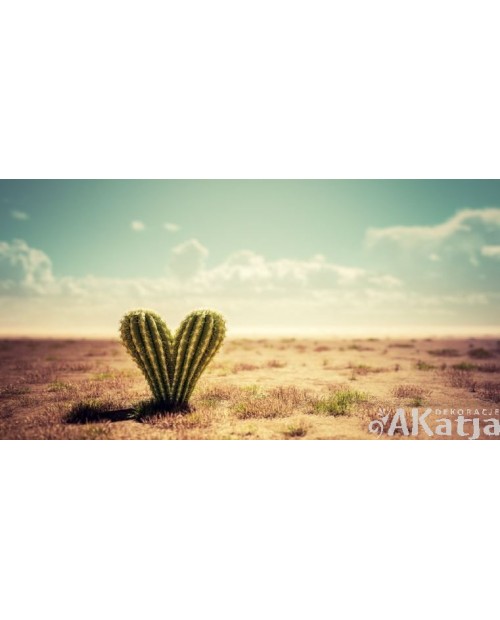 Kaktus w kształcie serca na pustyni