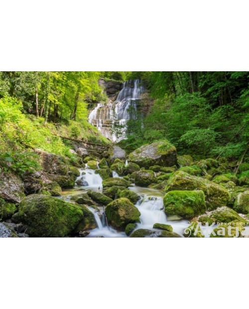 Wodospad w zielonym letnim lesie5
