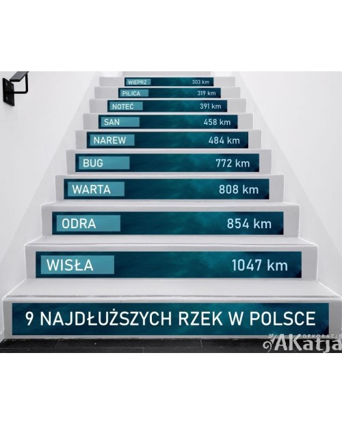 Naklejki na schody: 9 najdłuższych rzek w Polsce