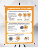 Plansza - Wiązania chemiczne w cząsteczkach