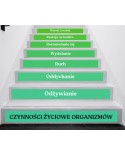 Naklejki na schody: Czynności życiowe organizmów