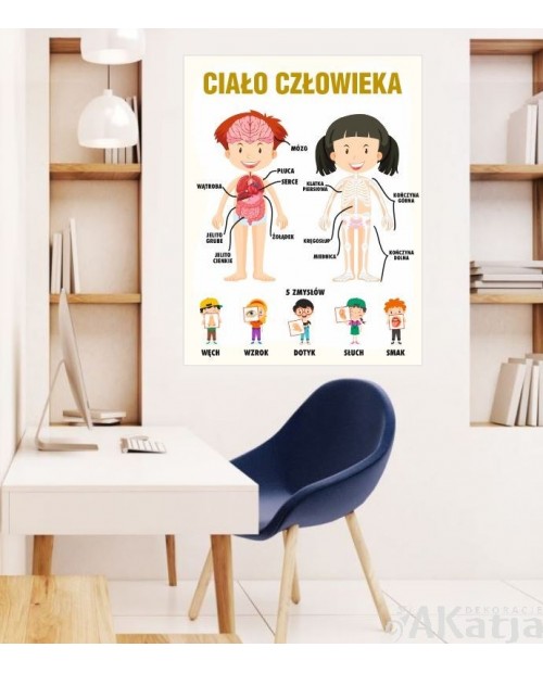 Budowa ciała człowieka- naklejka na ścianę