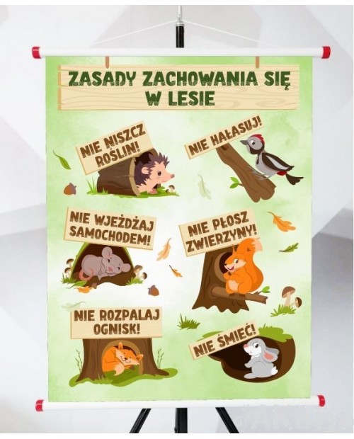 Plansza- Zasady zachowania w lesie