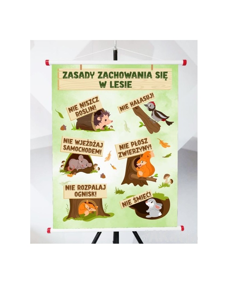Plansza- Zasady zachowania w lesie
