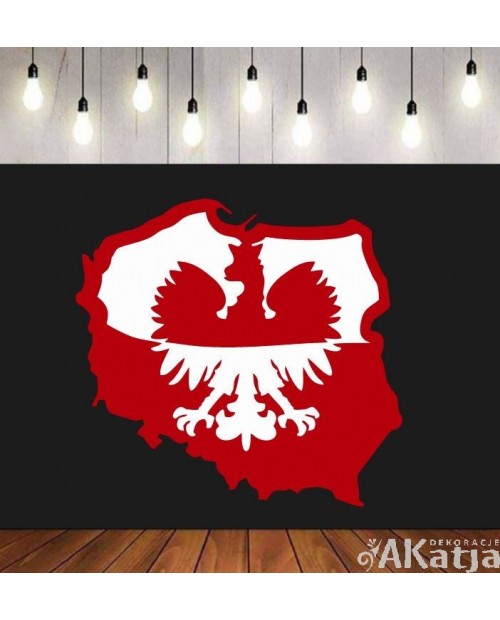 Biało- czerwone kontury Polski z orłem- wycinanka z kartonu