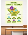 Budowa komórki roślinnej- naklejka na ścianę