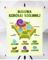 Plansza- Budowa komórki roślinnej