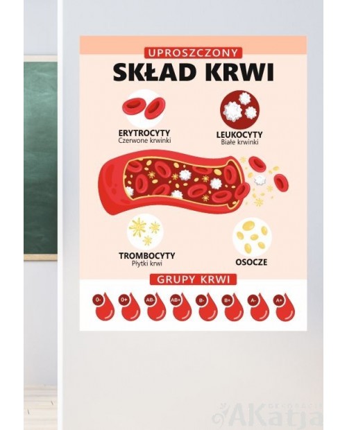 Uproszczony skład krwi- naklejka na ścianę
