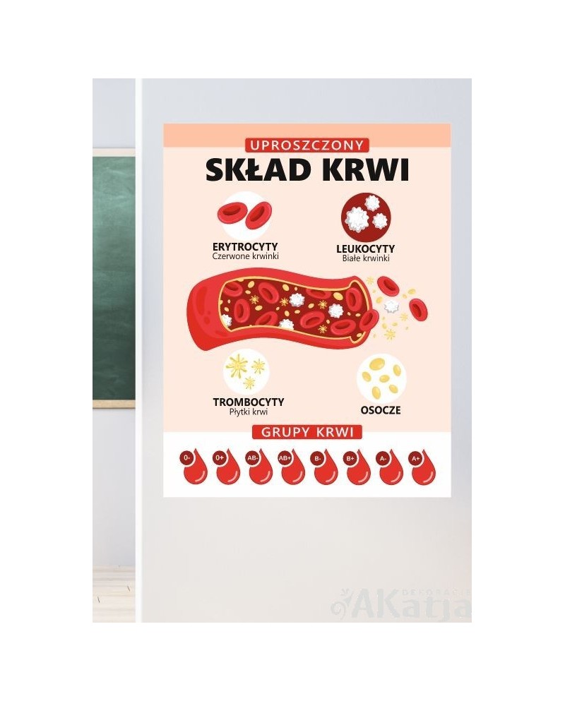 Uproszczony skład krwi- naklejka na ścianę