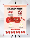 Plansza- Uproszczony skład krwi