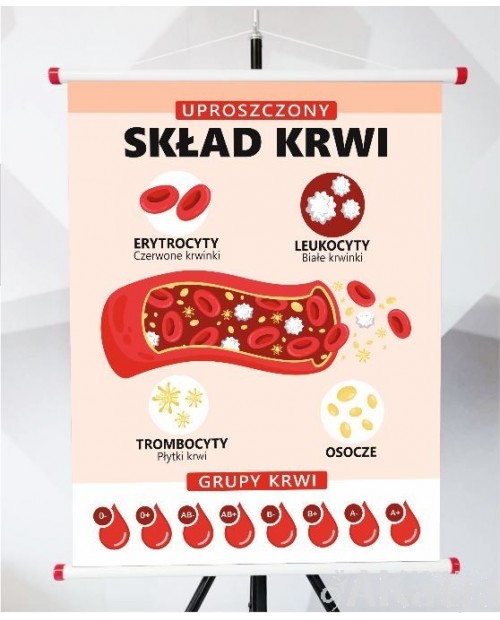 Plansza- Uproszczony skład krwi