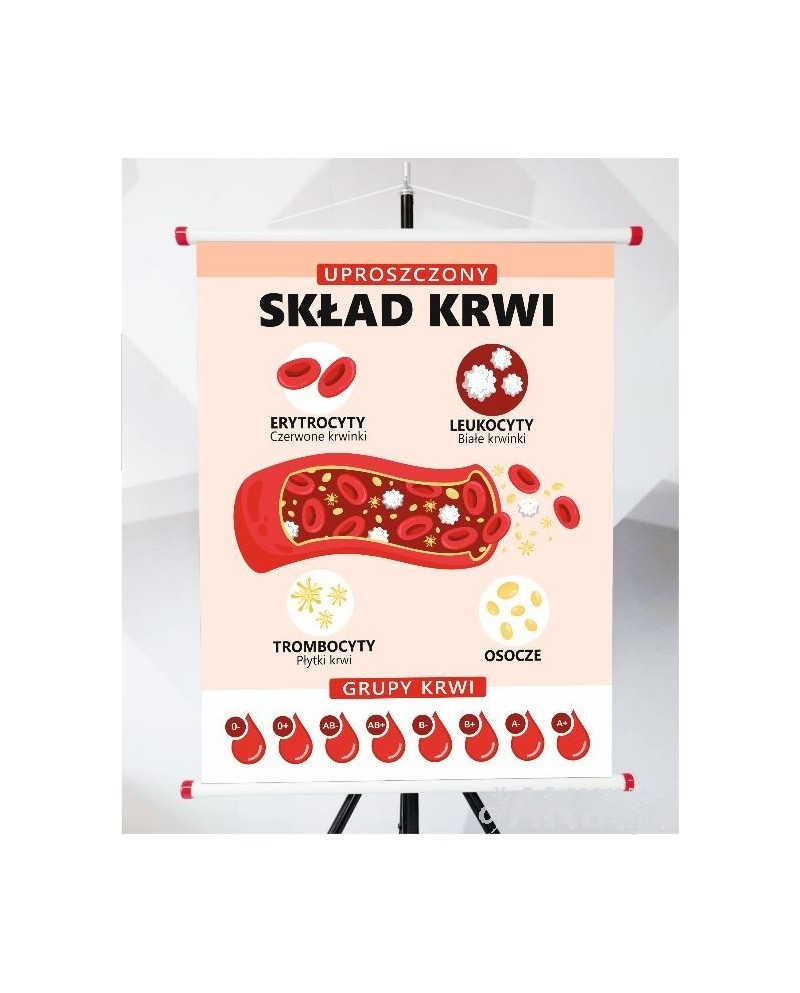 Plansza- Uproszczony skład krwi