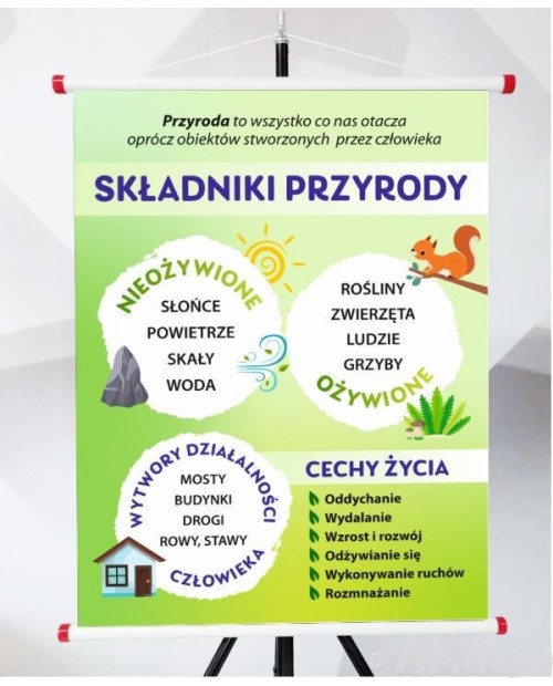 Plansza- Składniki przyrody