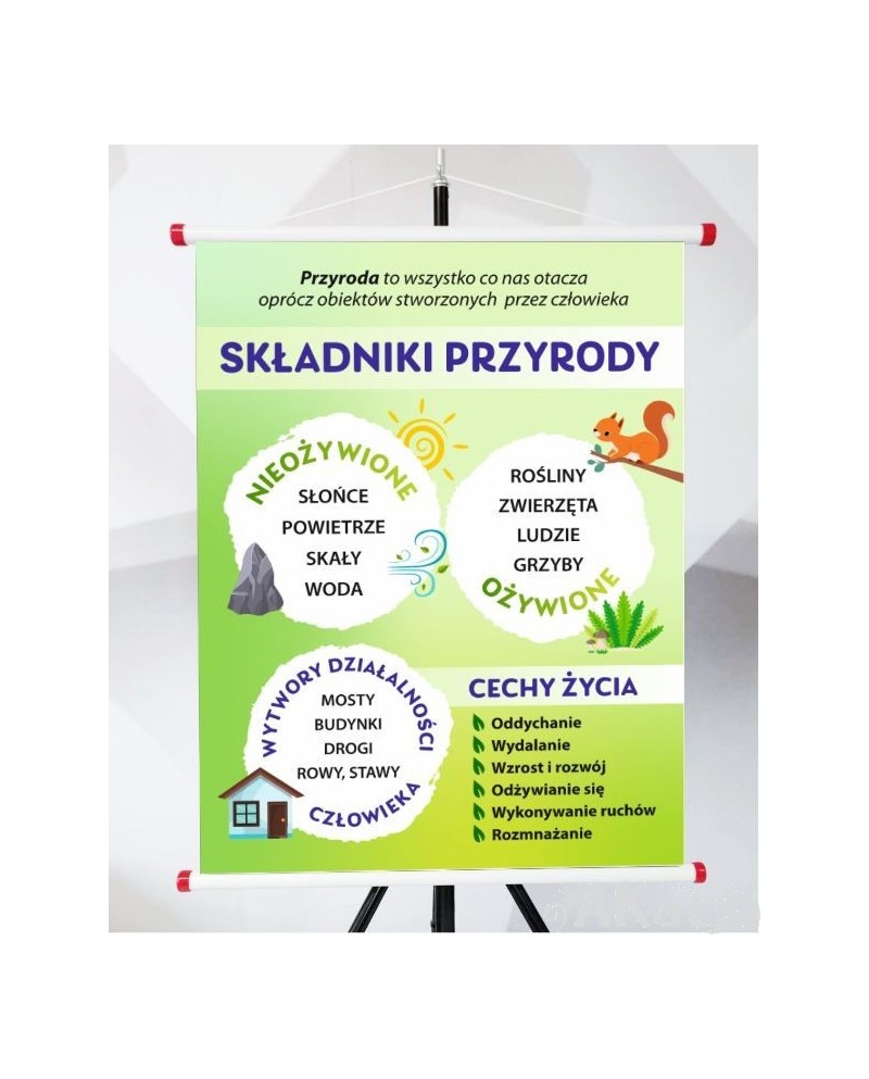 Plansza- Składniki przyrody