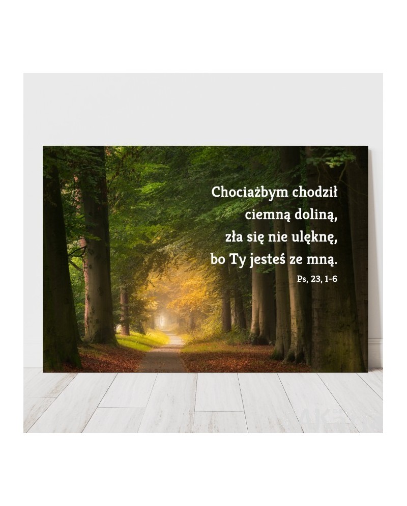 Plakat z cytatem: Chociażbym chodził ciemną doliną...