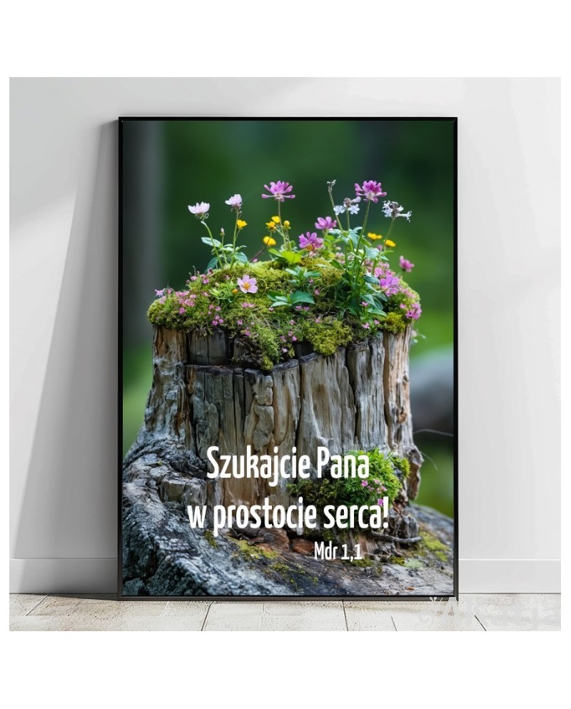 Plakat z cytatem: Szukajcie Pana w prostocie serca