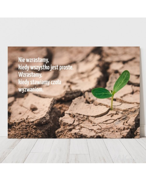 Plakat z napisem: Nie wzrastamy kiedy wszystko jest proste...
