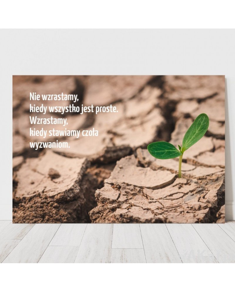 Plakat z napisem: Nie wzrastamy kiedy wszystko jest proste...