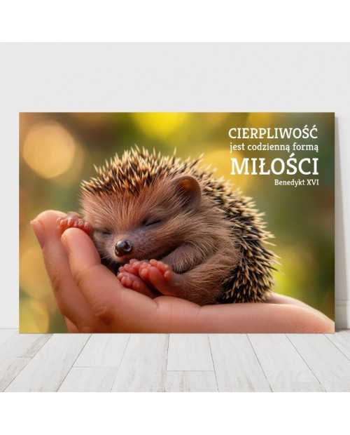Plakat z napisem: "Cierpliwość jest codzienną formą miłości"