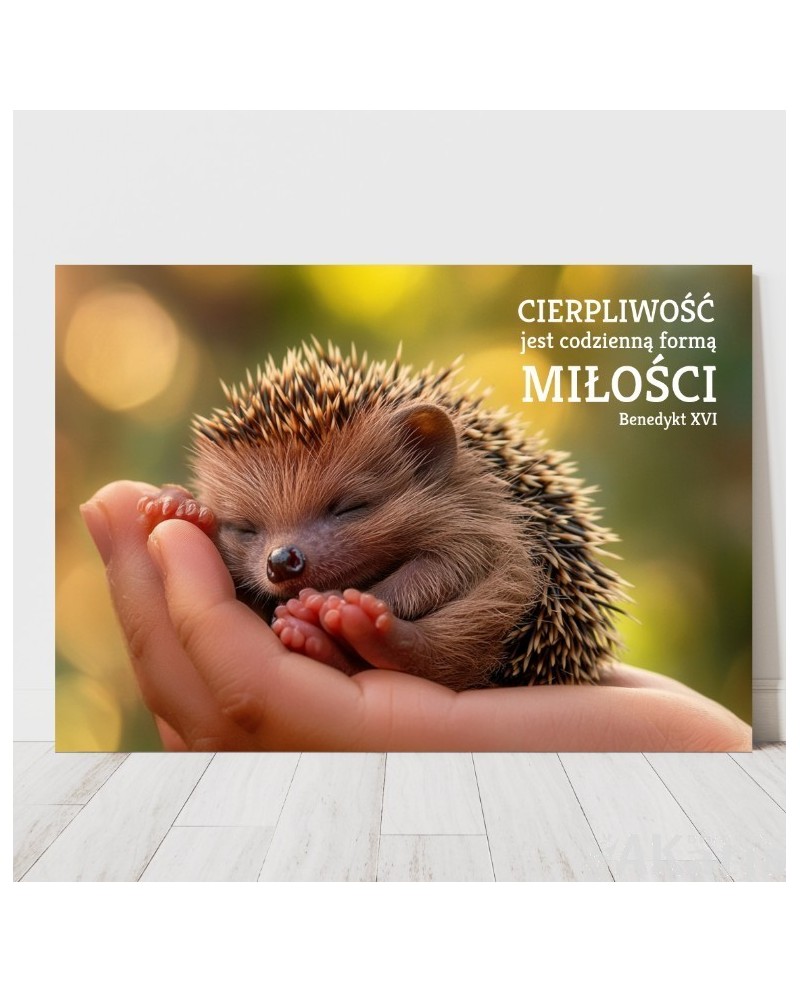Plakat z napisem: "Cierpliwość jest codzienną formą miłości"