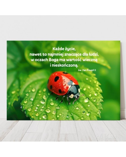 Plakat z napisem: "Każde życie, nawet to najmniej znaczące..."