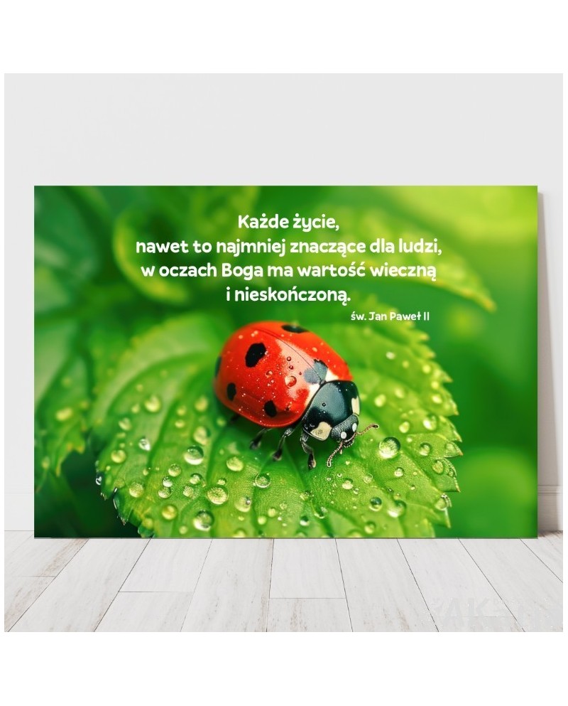 Plakat z napisem: "Każde życie, nawet to najmniej znaczące..."