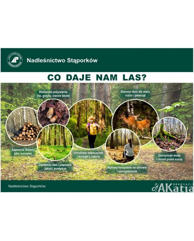 Tabliczka: Co daje nam las