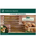 Tabliczka: 8 zasad grzybiarza