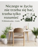 Niczego w życiu nie należy się bać, trzeba to tylko rozumieć- naklejka na ścianę
