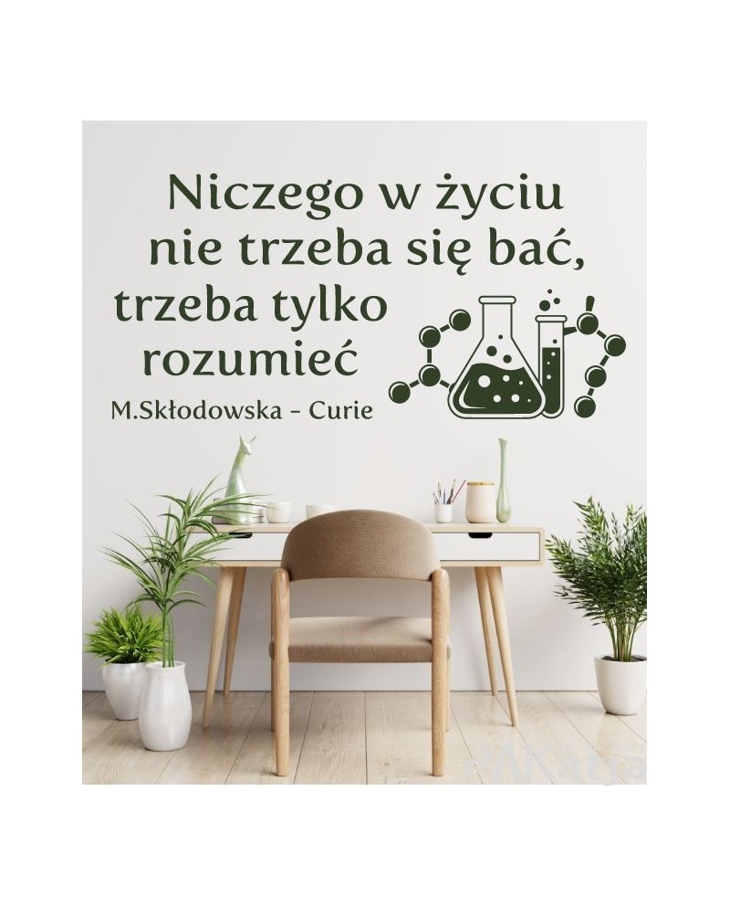Niczego w życiu nie należy się bać, trzeba to tylko rozumieć- naklejka na ścianę
