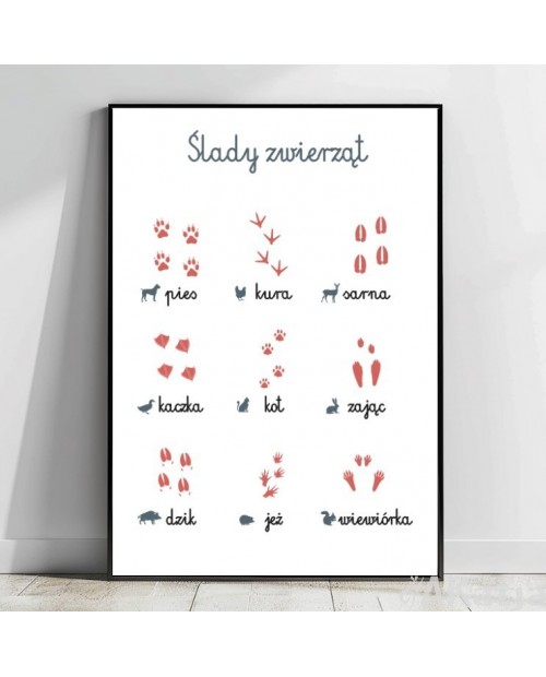 Ślady zwierząt - plakat edukacyjny Montessori