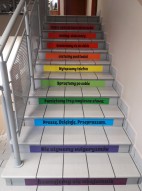 kolorowe schody